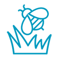 Biodiversity icon