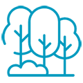Village green icon